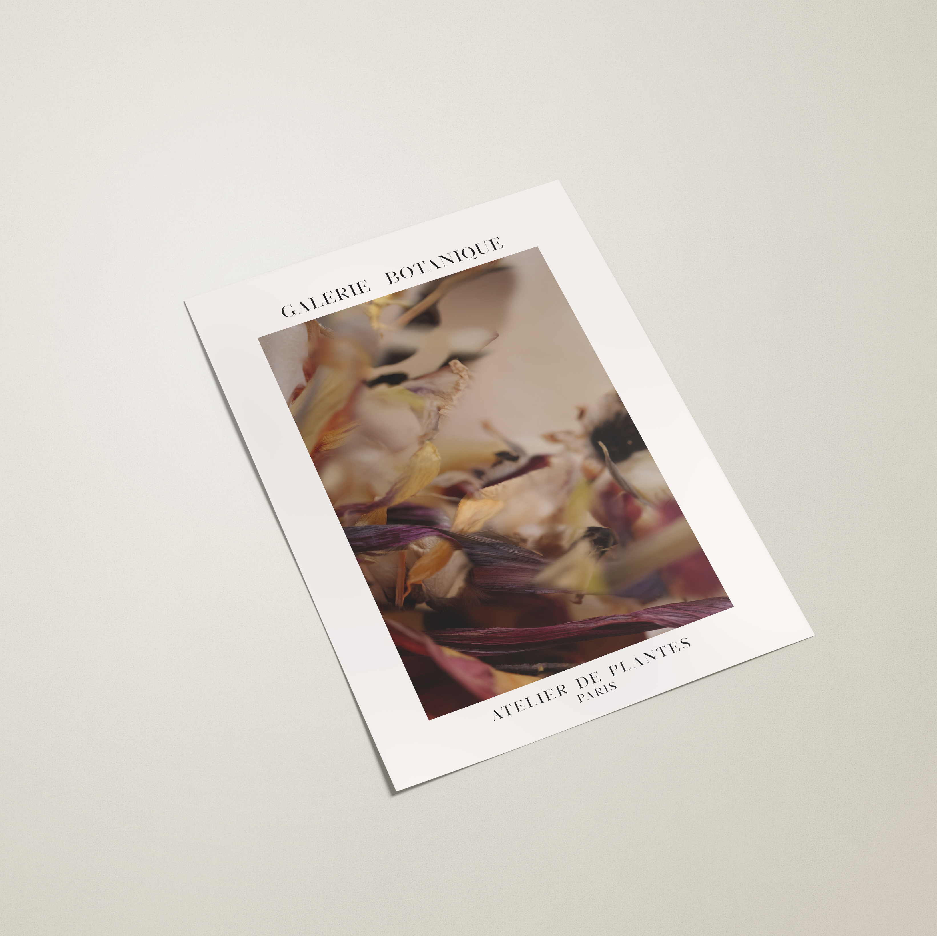 Galerie Belanger poster with abstract art on a light gray background