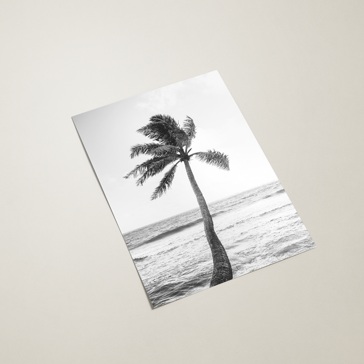 Paradise Palm Poster