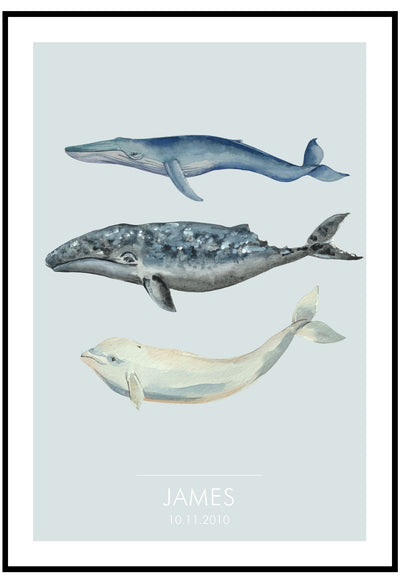 personalised whales wall art