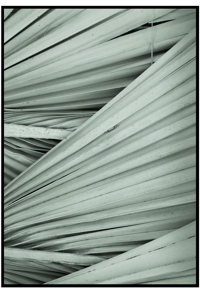 light green palm leaves wall print