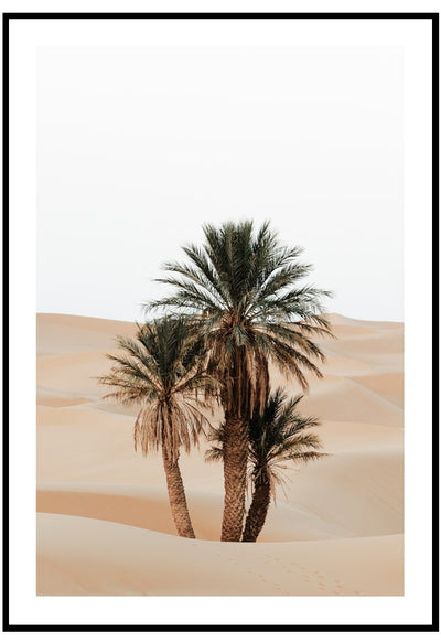 desert palms wall art