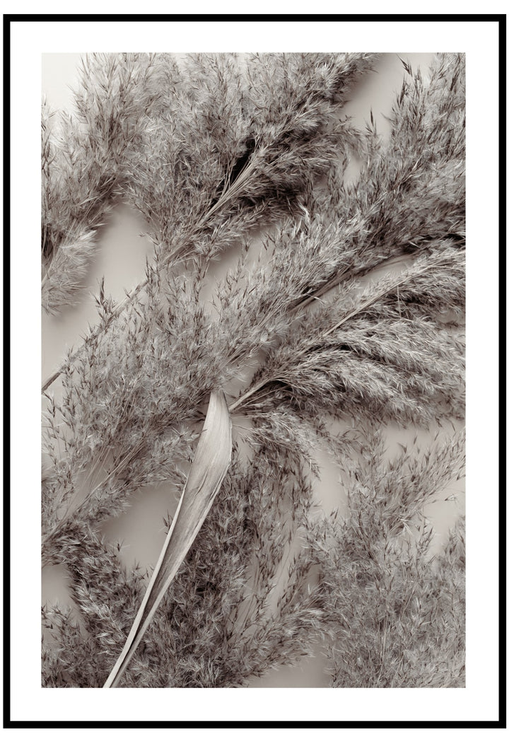 dry pampas wall art
