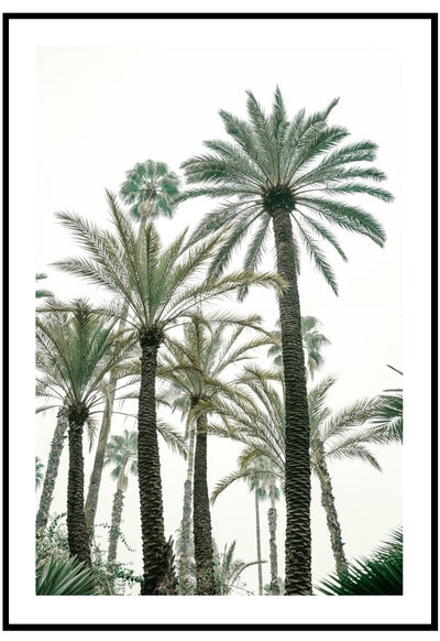 palm grove wall art 