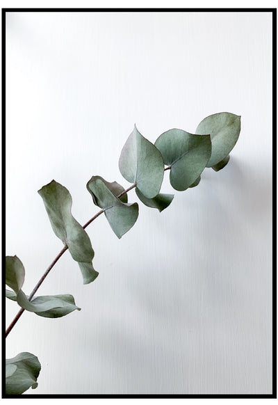 eucalyptus leaves wall art