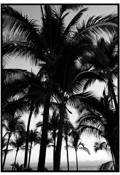ocean palms poster