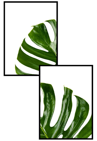 monstera split leaf print set