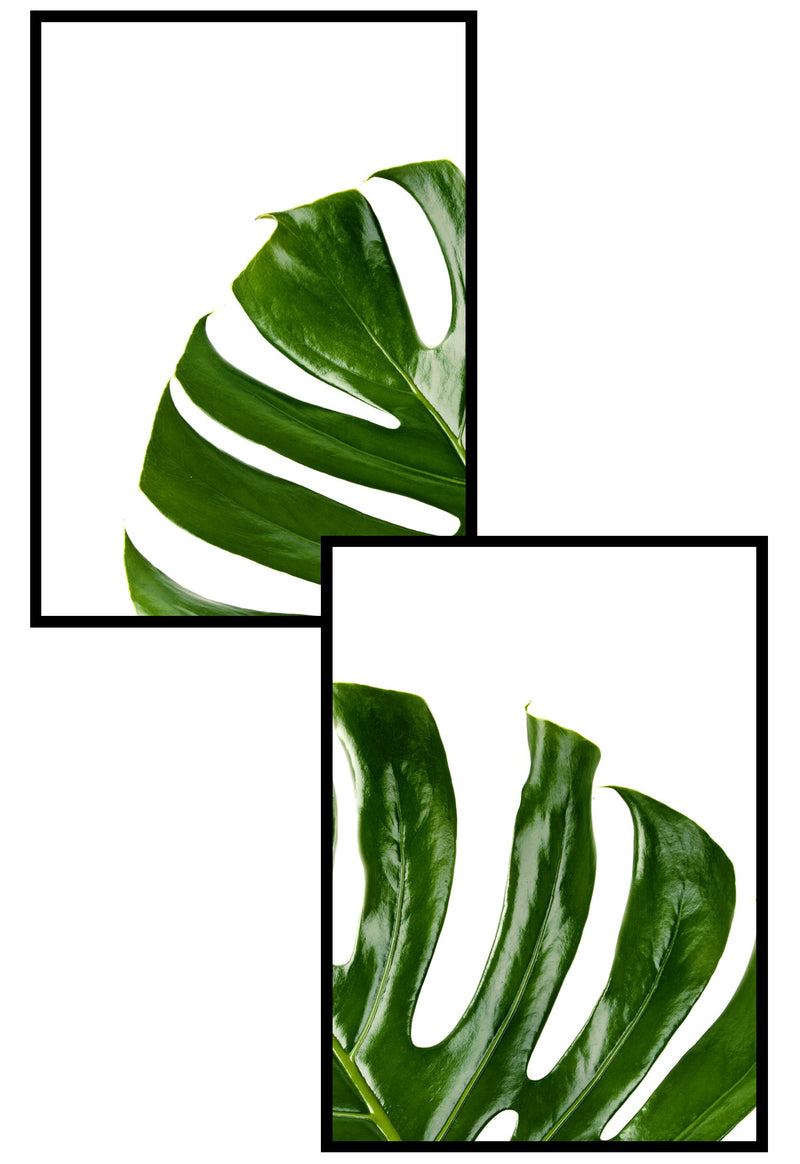 monstera split leaf print set