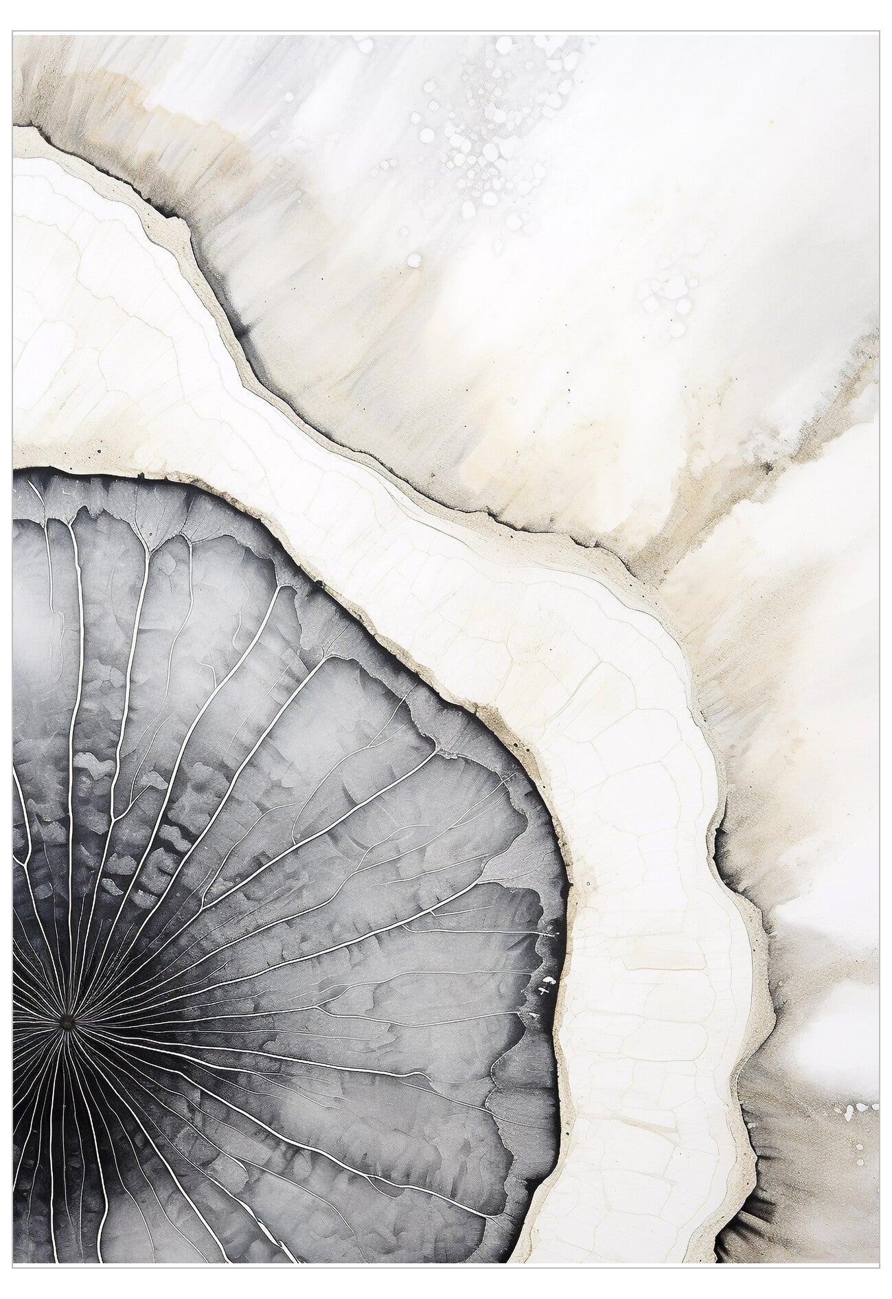 Close-up of a mushroom with a white and gray background