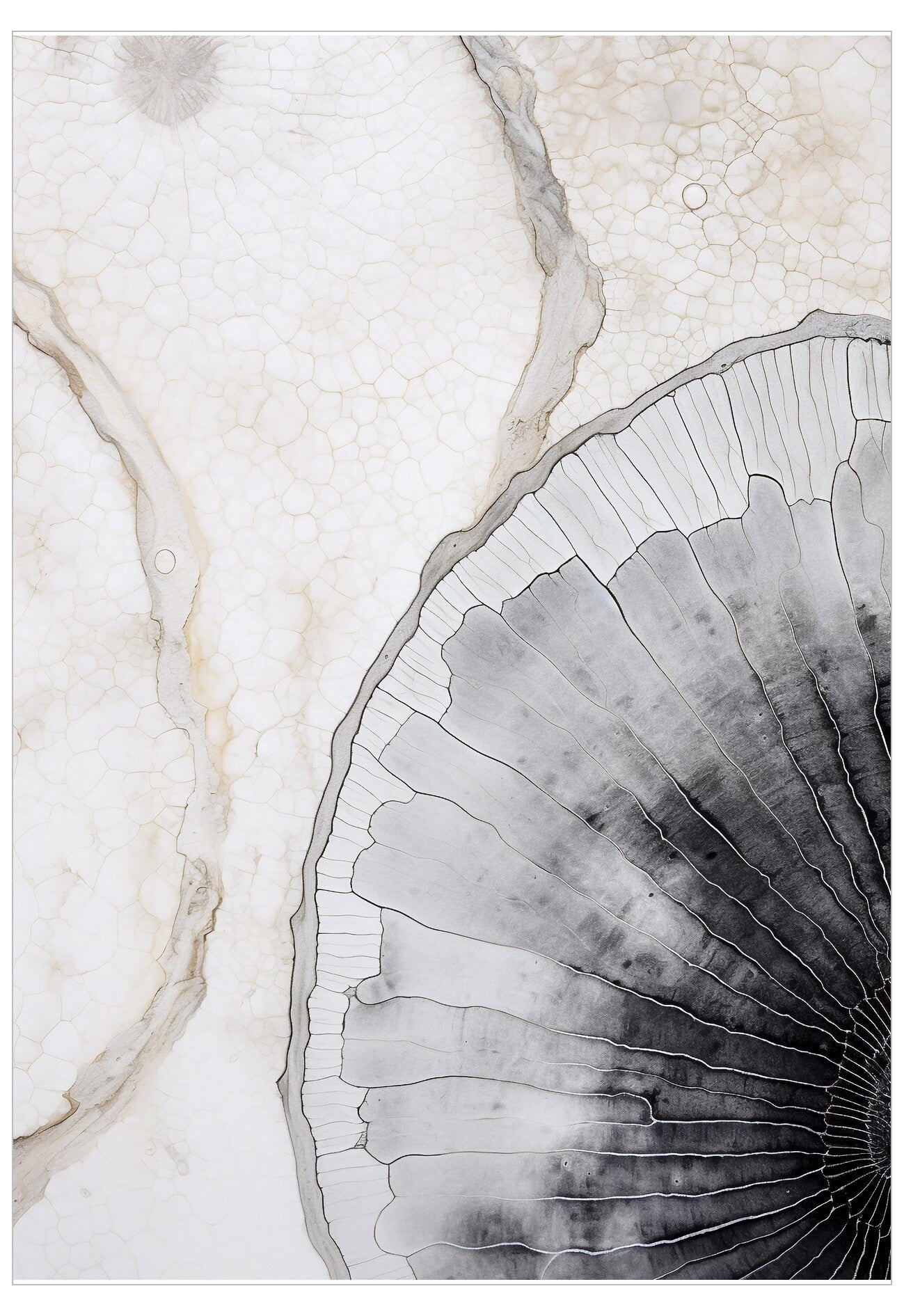 Acquerello No.2 Poster