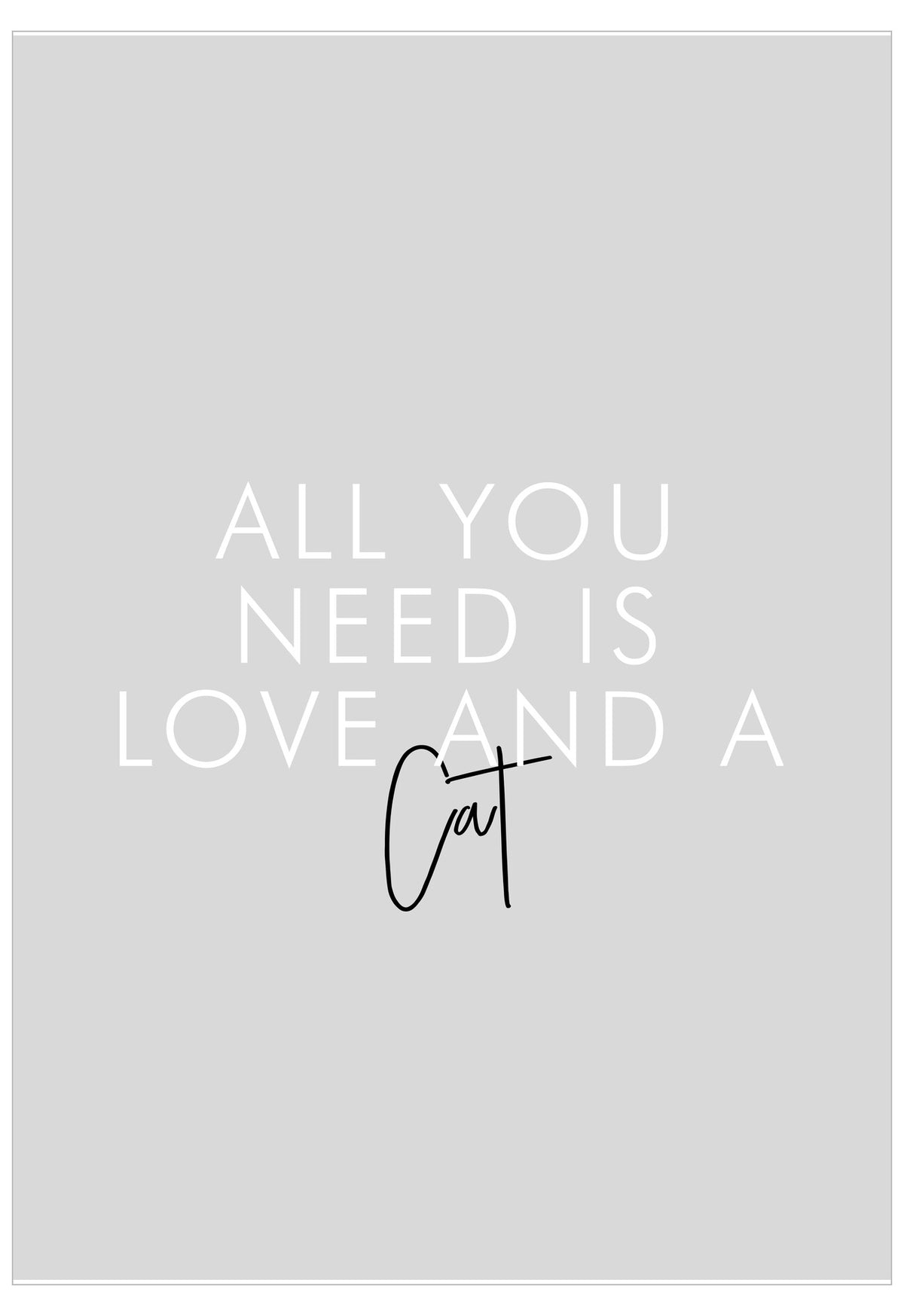 Text 'All you need is love and a cat' on a gray background