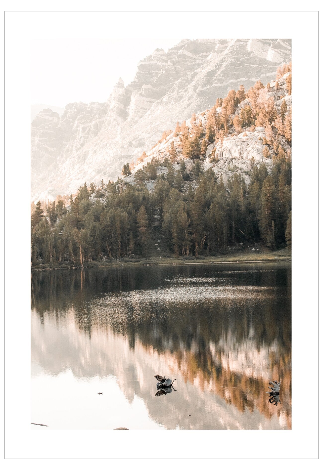 Lake surrounded by trees and mountains with a calm reflection.
