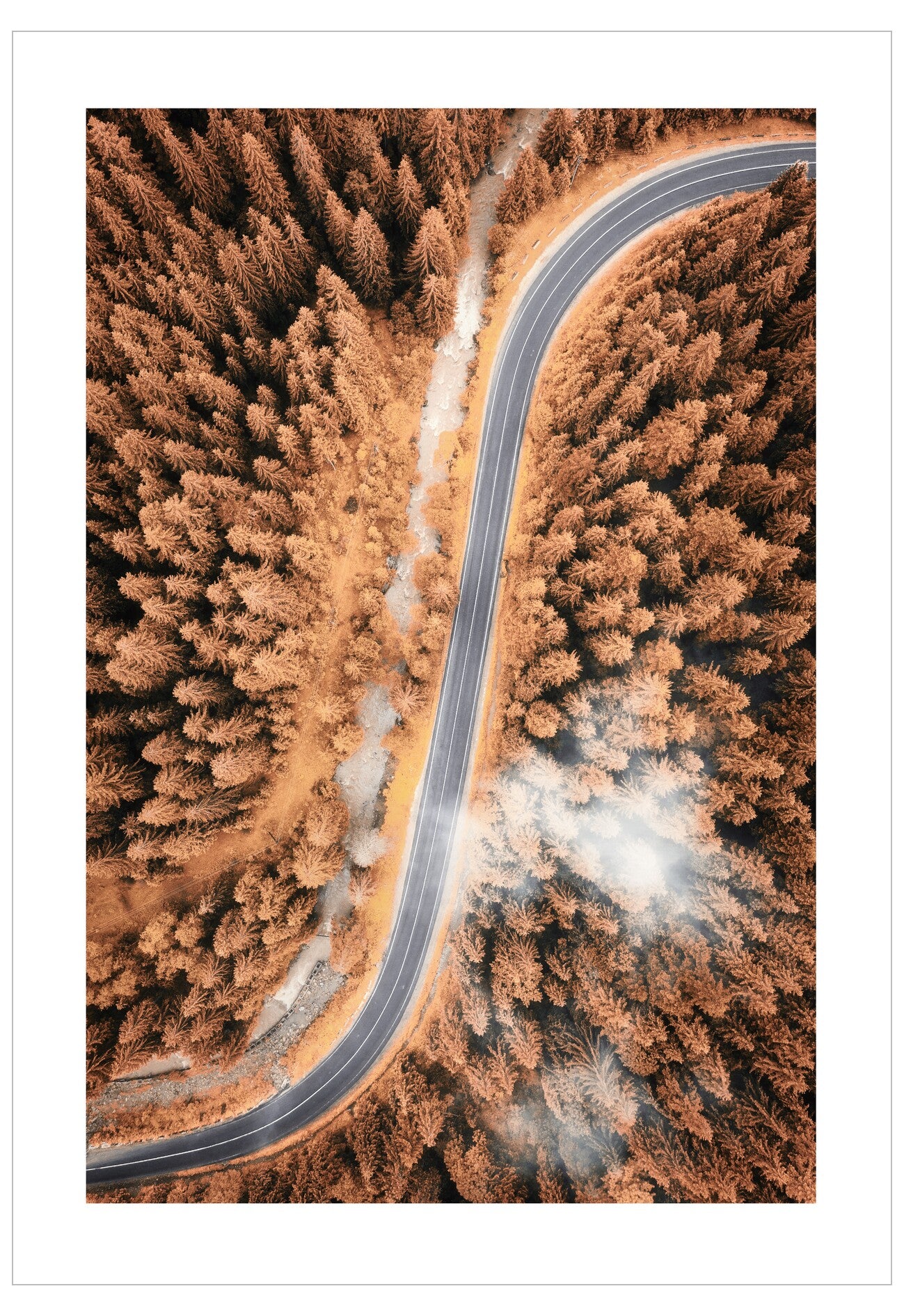 Aerial view of a winding road through a forest with autumn colors.