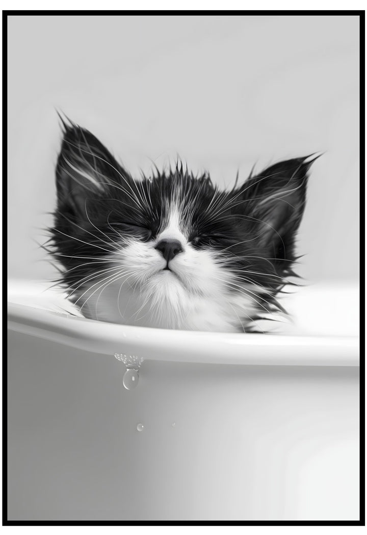 Black and white kitten in a bathtub with water droplets.
