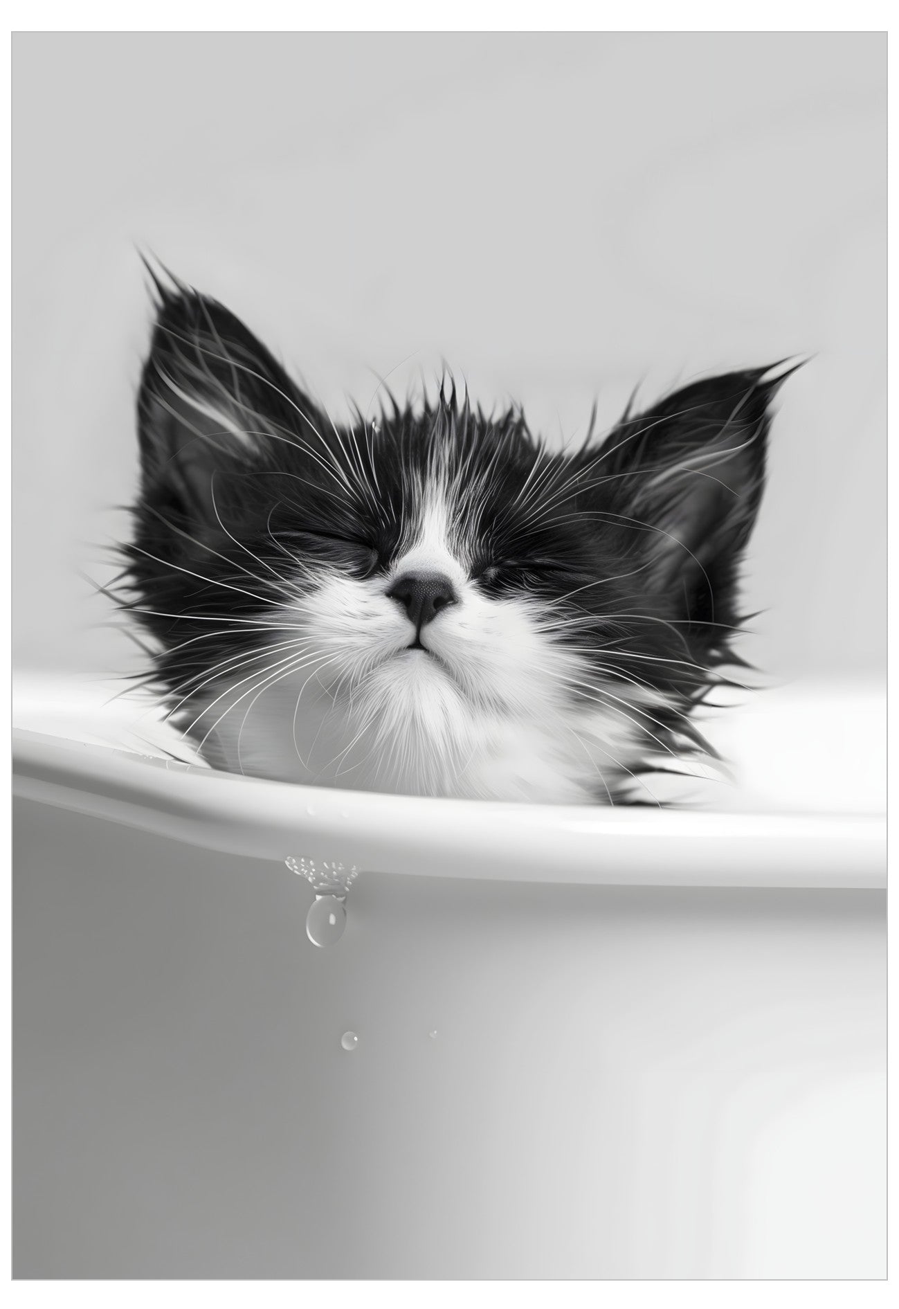 Black and white kitten in a bathtub with water droplets.