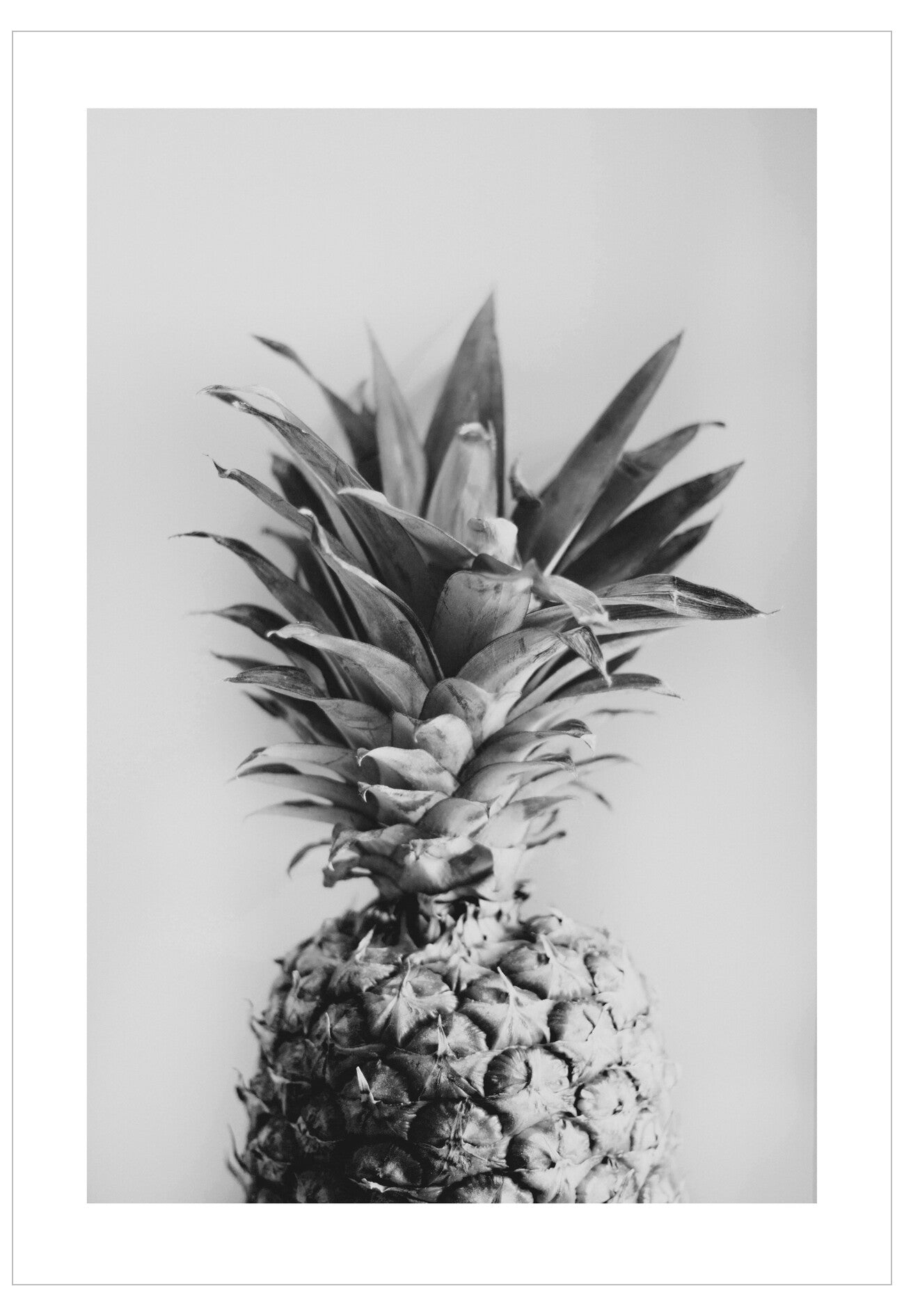 Black and white image of a pineapple