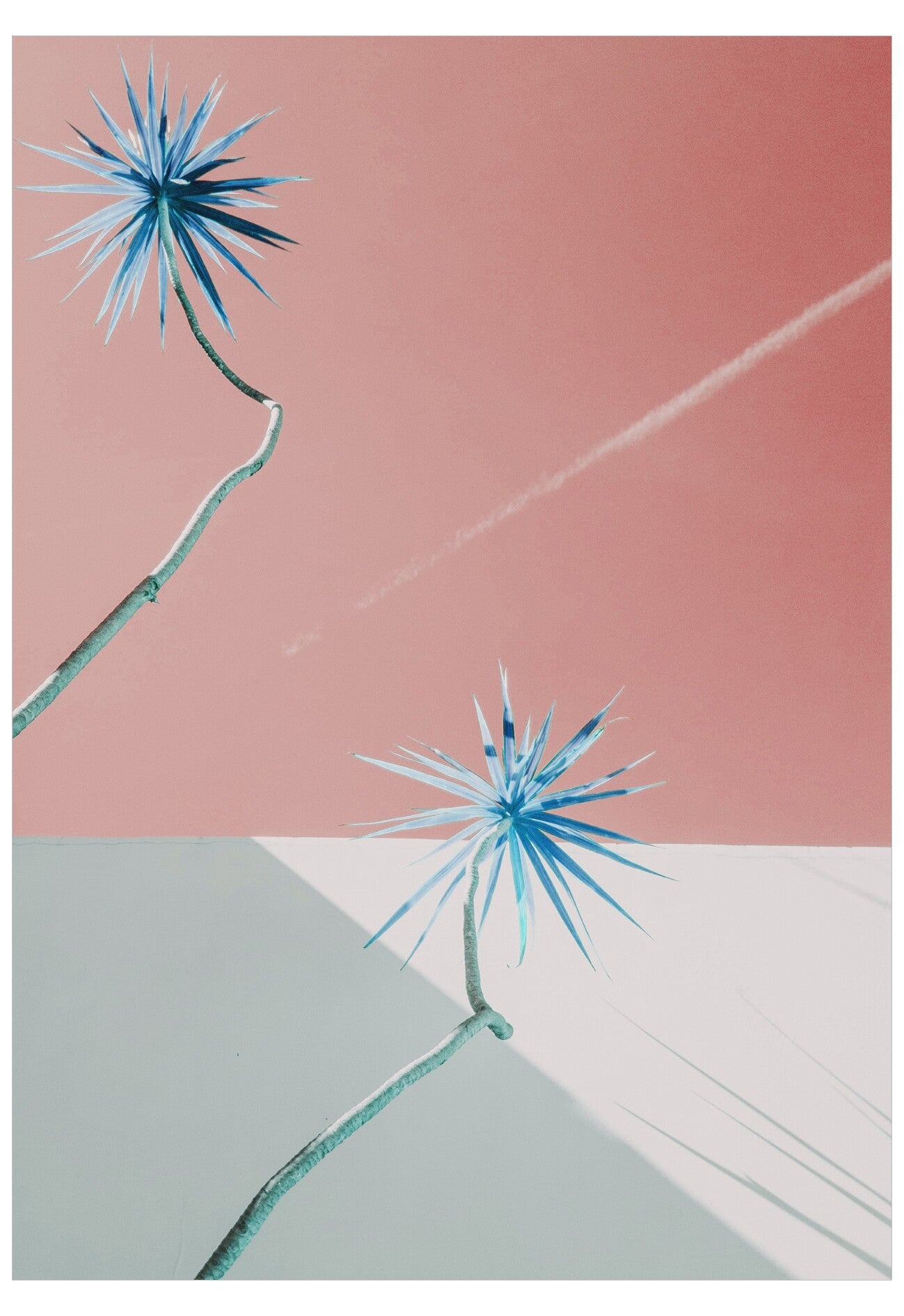 Artistic depiction of blue flowers on a pink and gray geometric background