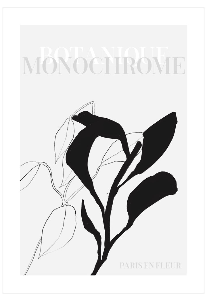 Black leaf silhouette on a white background with 'Parisienne' branding.