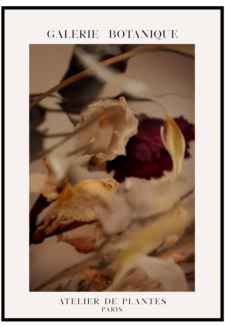 Dried flowers and leaves on a textured surface with 'Galerie Botanique' branding.