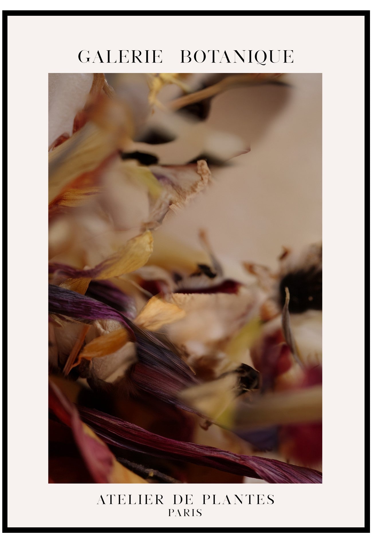 Galerie Botanique poster with dried plants and flowers, featuring the brand 'Atelier de Plantes Paris'.