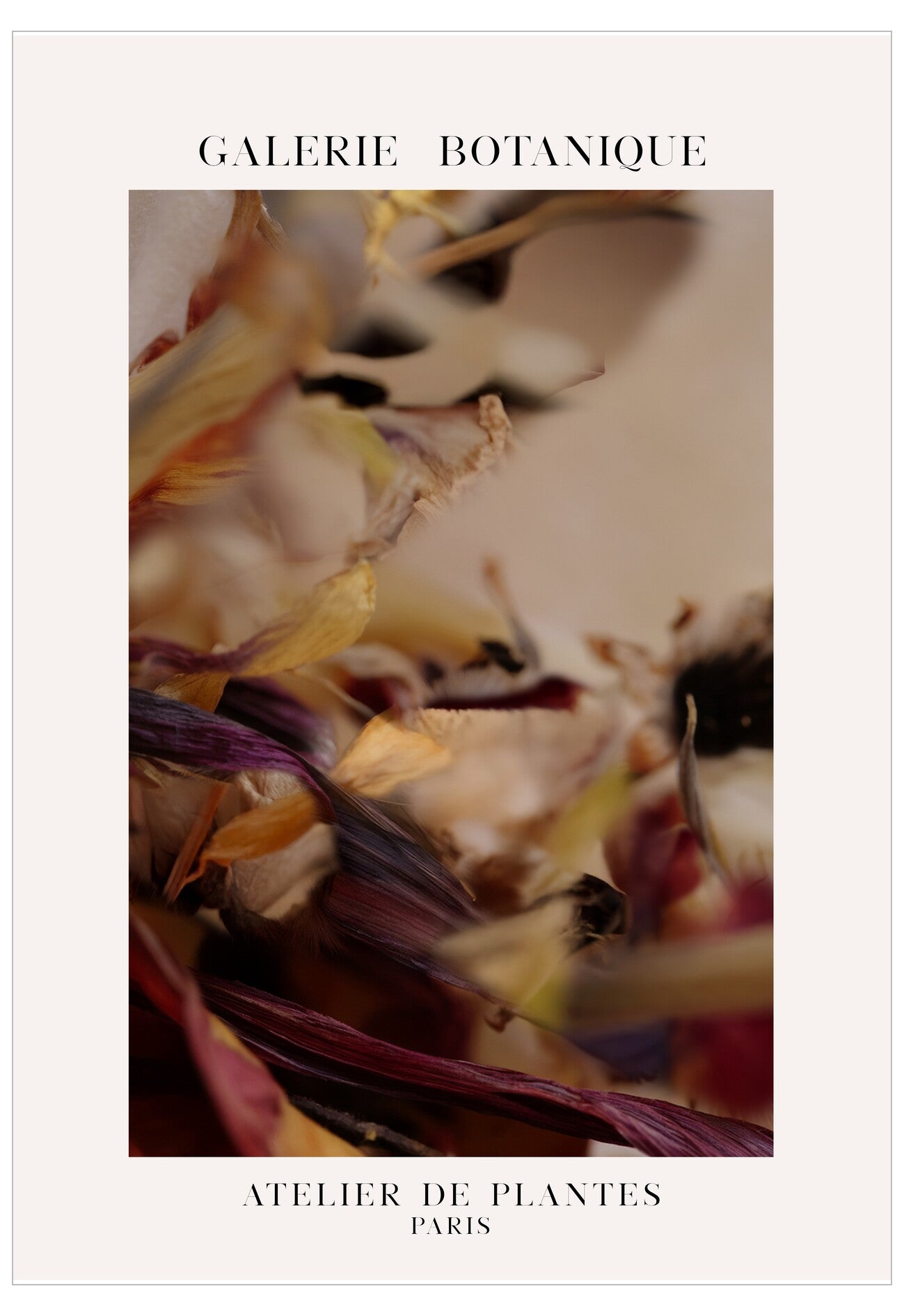 Close-up of dried plants with 'Galerie Botanique' and 'Atelier de Plantes Paris' text.