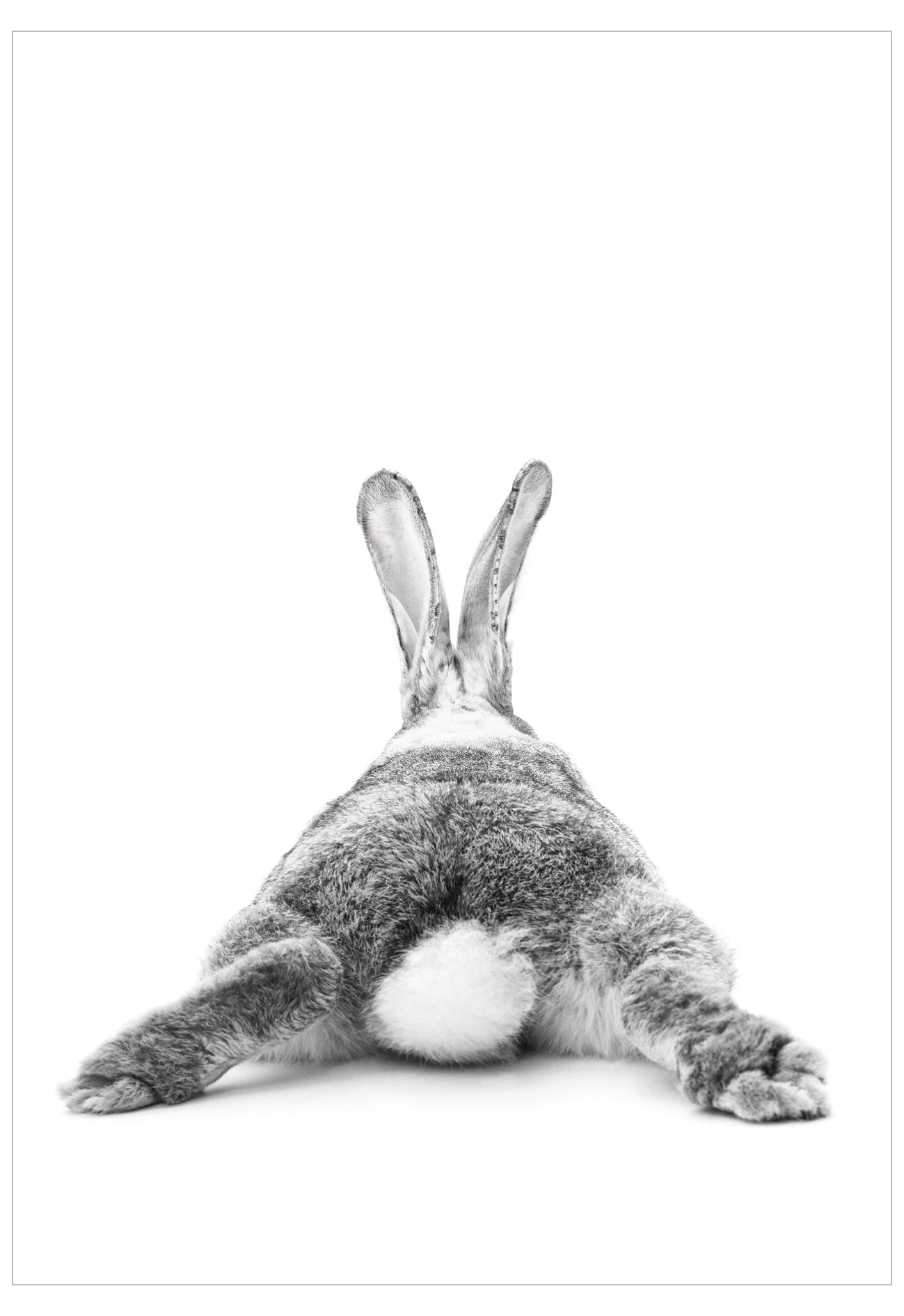 Bunny Tail Poster 
