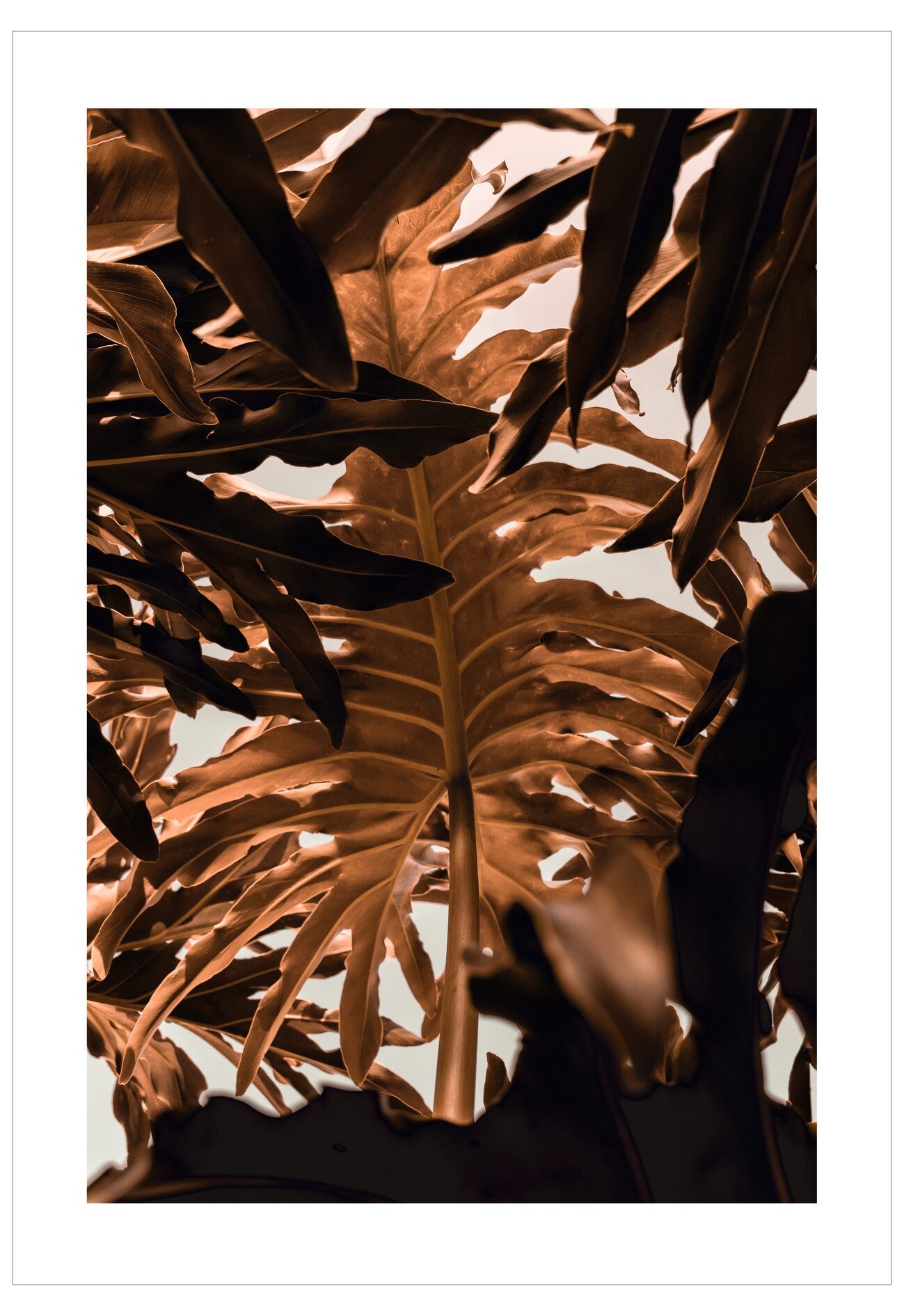 Close-up of a leaf with a blurred background