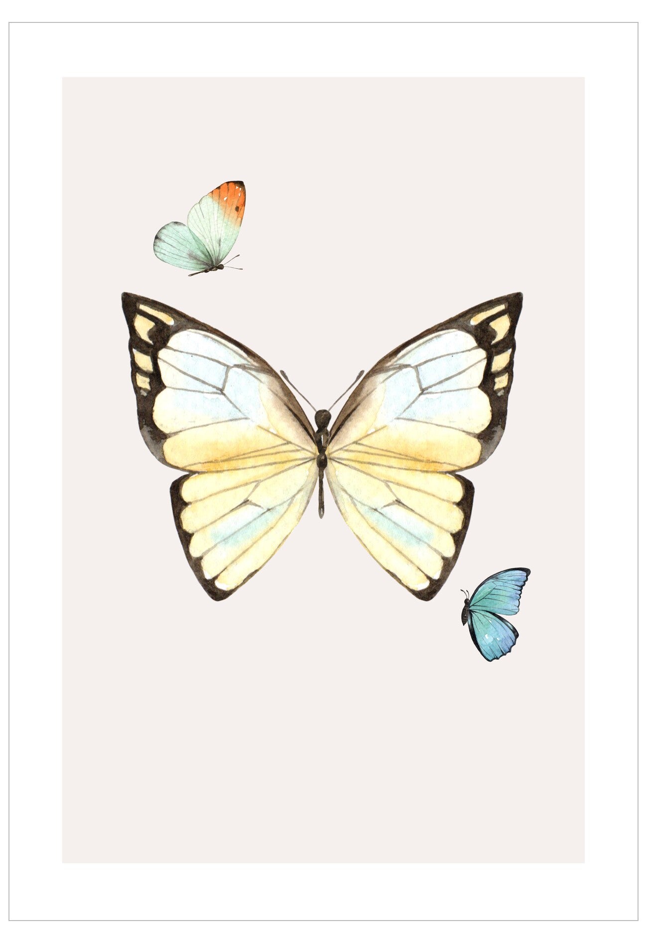 Butterfly Illustration No.1 Poster 