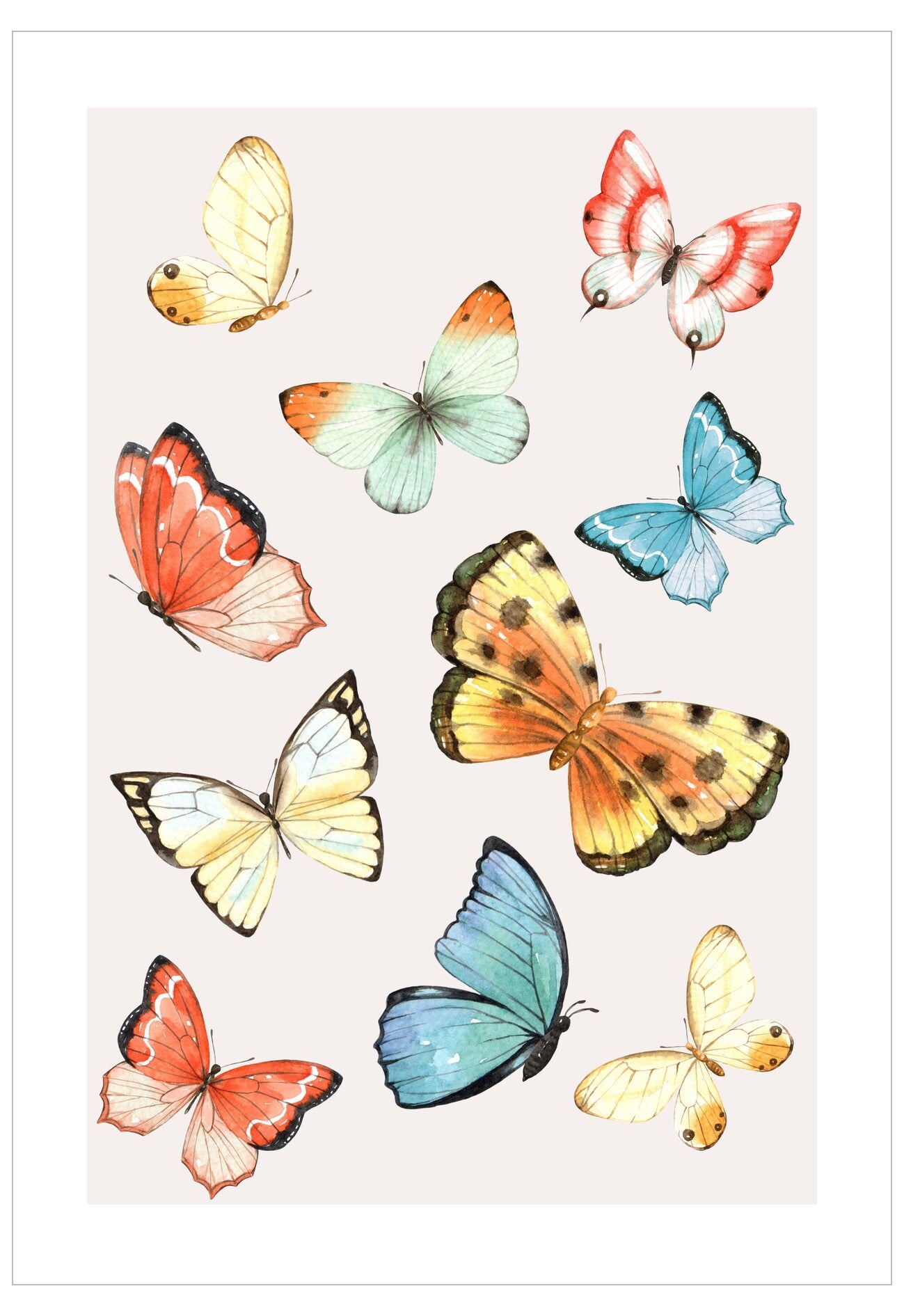Butterfly Illustration Poster