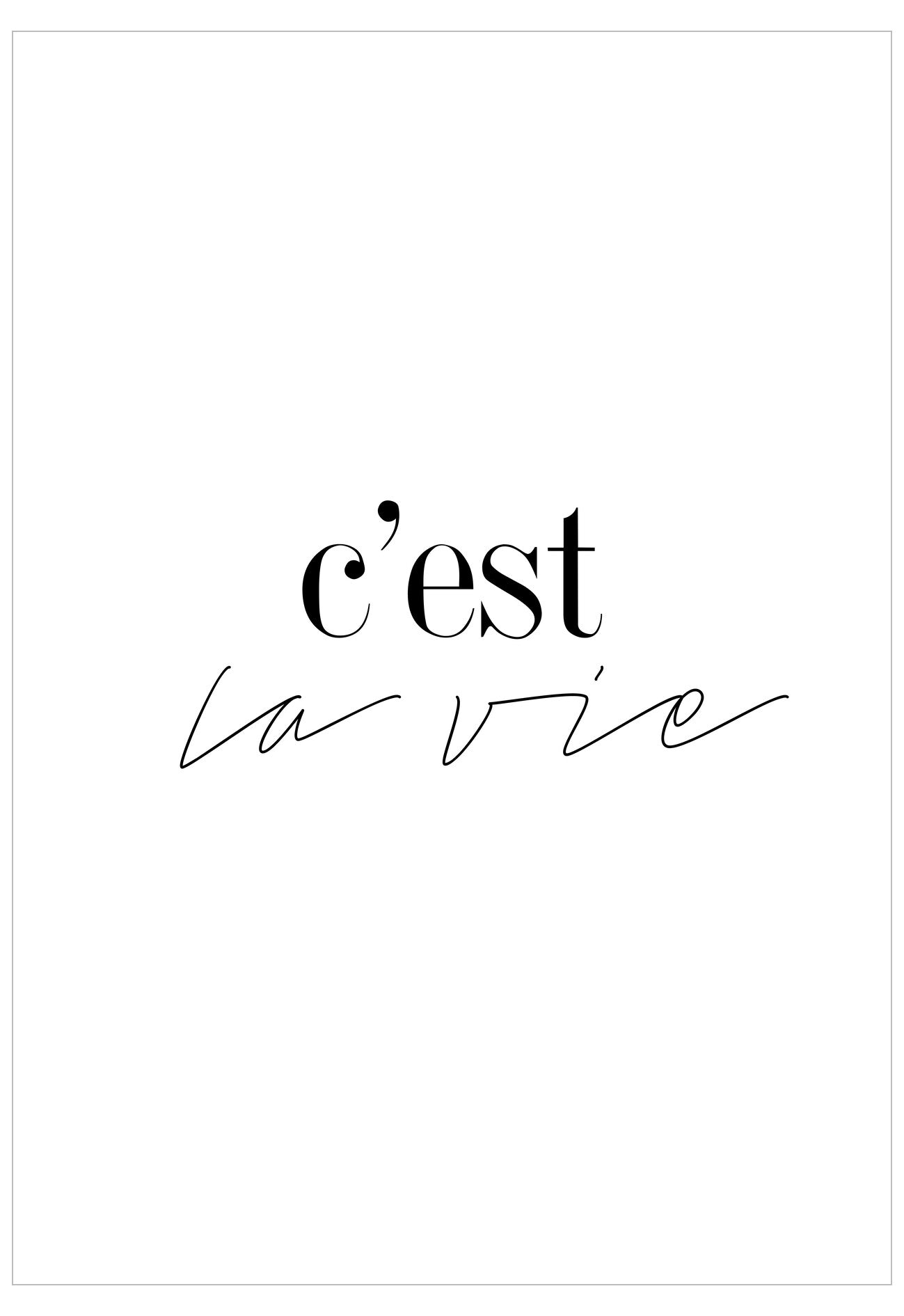 C'Est La Vie Poster