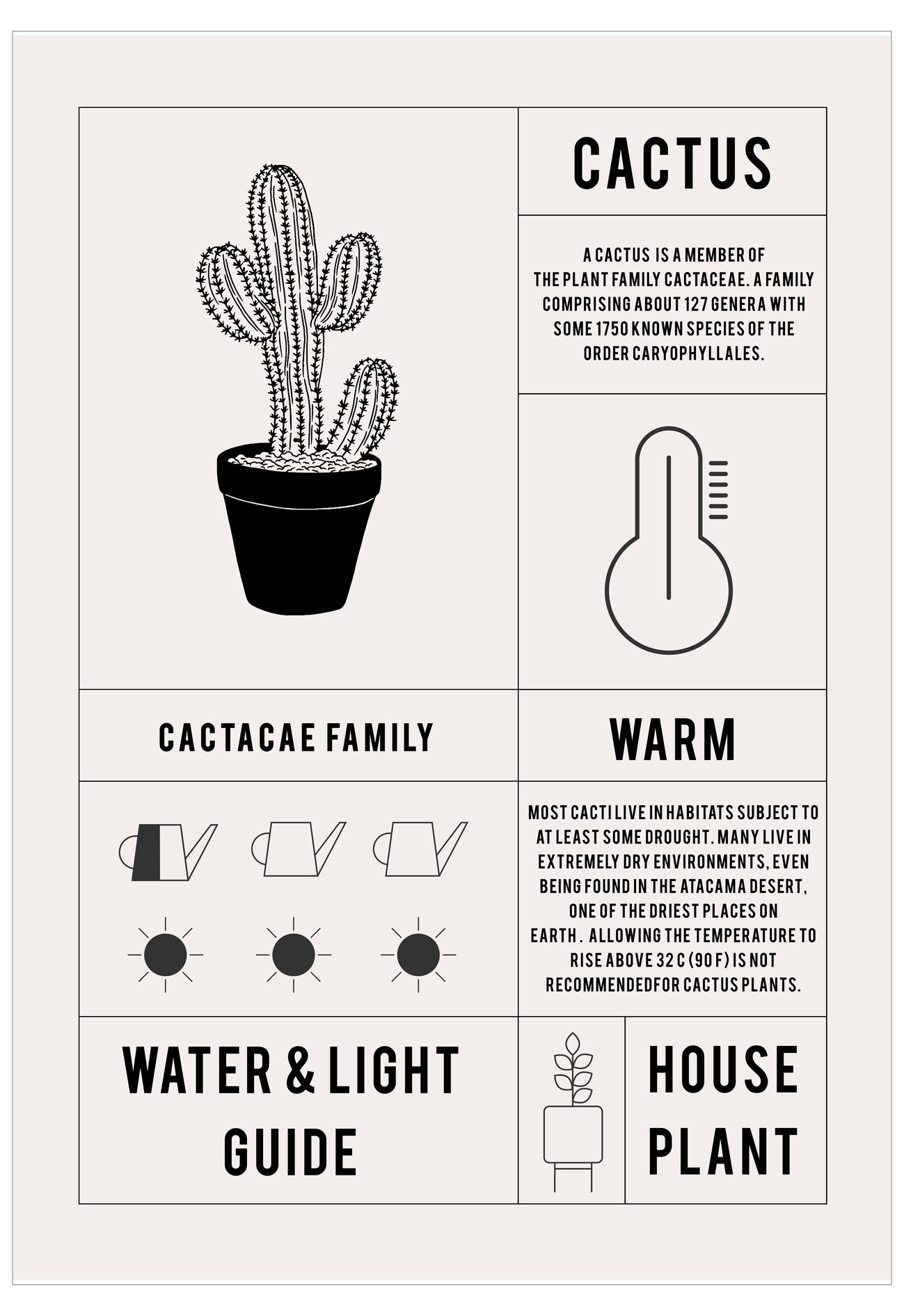 Cactus care guide poster with illustrations and text on a white background