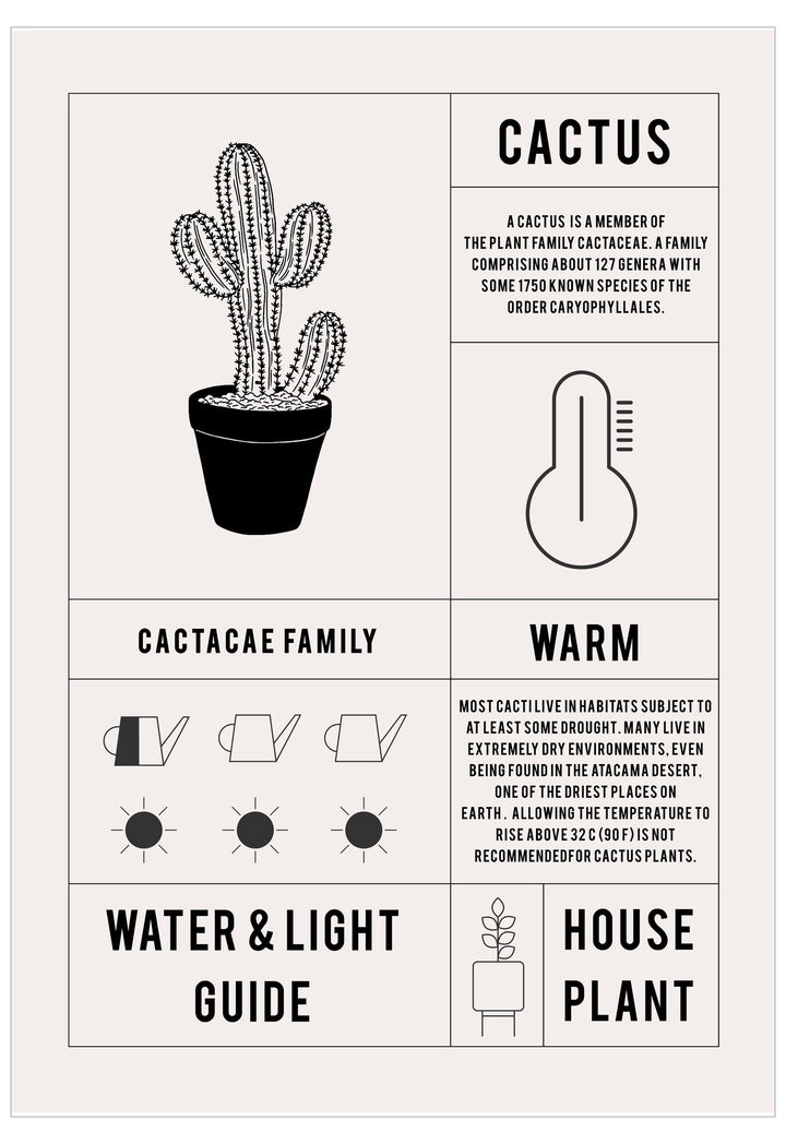 Cactus care guide poster with illustrations and text on a white background