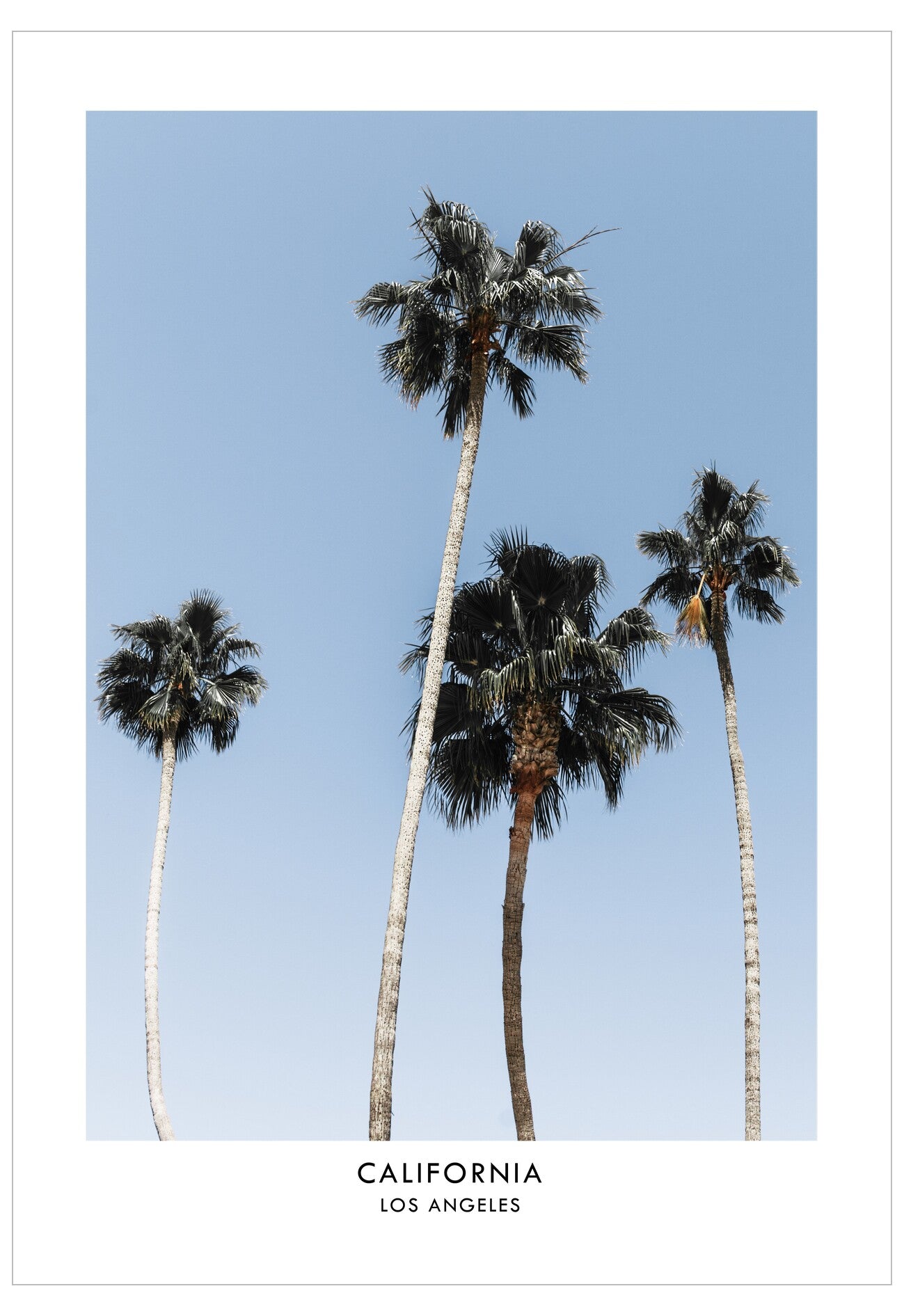 Palm trees against a clear blue sky with 'California Los Angeles' text at the bottom.