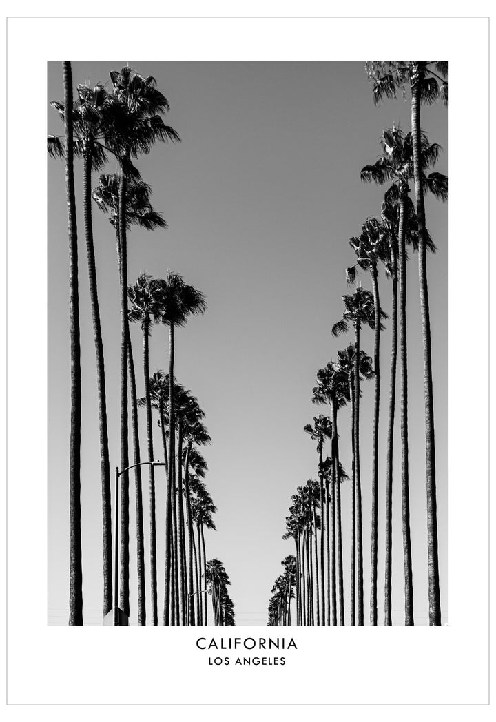 Black and white photo of palm trees against a clear sky with 'California Los Angeles' text at the bottom.