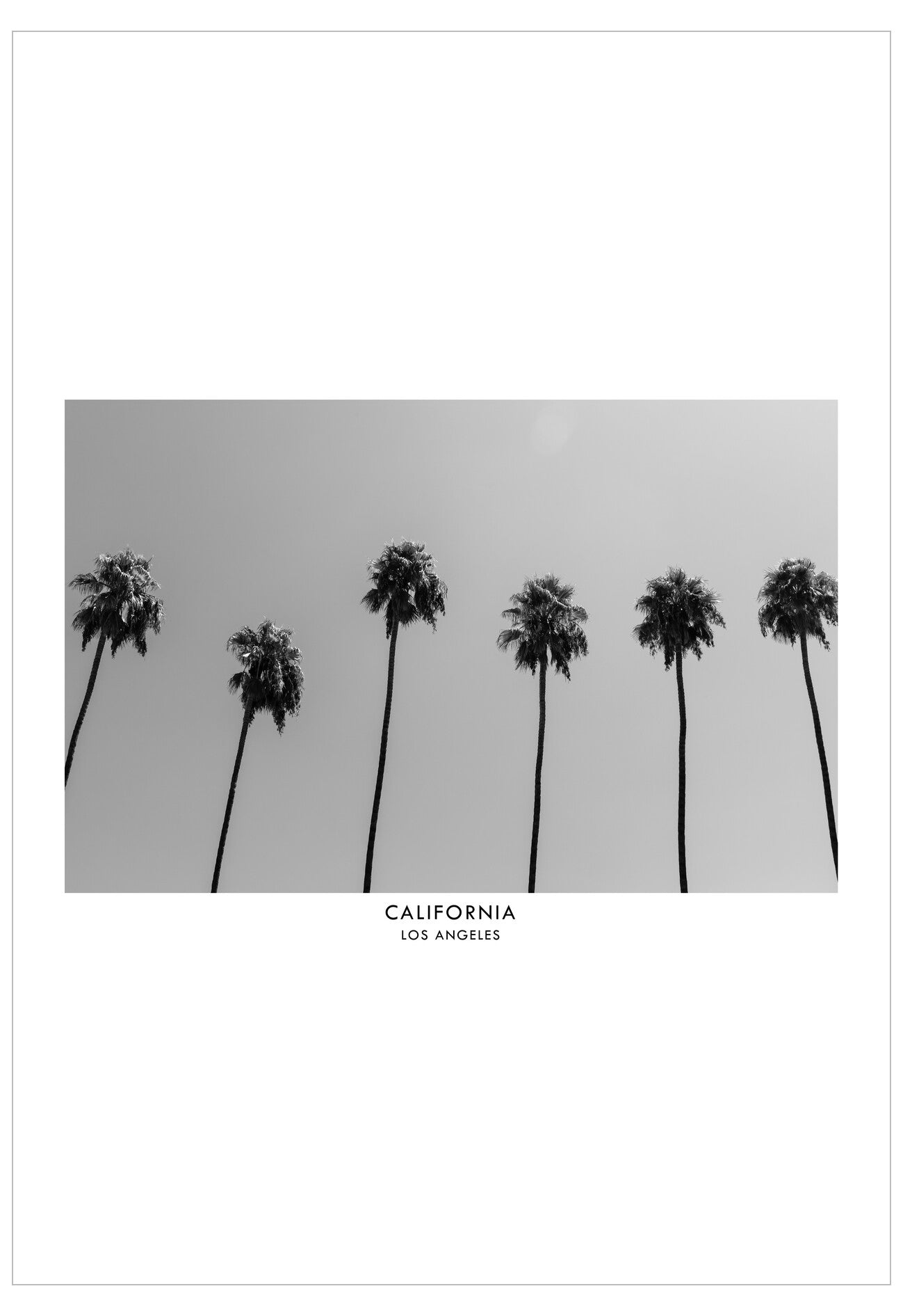 Black and white photo of palm trees with 'California Los Angeles' text on a white background