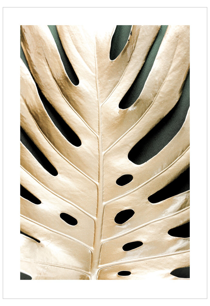 Close-up of a leaf with a white background