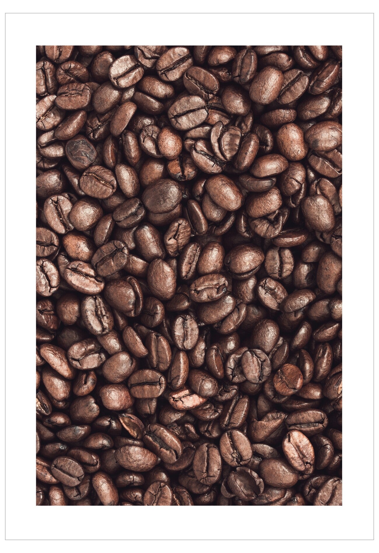 Close-up of coffee beans on a white background