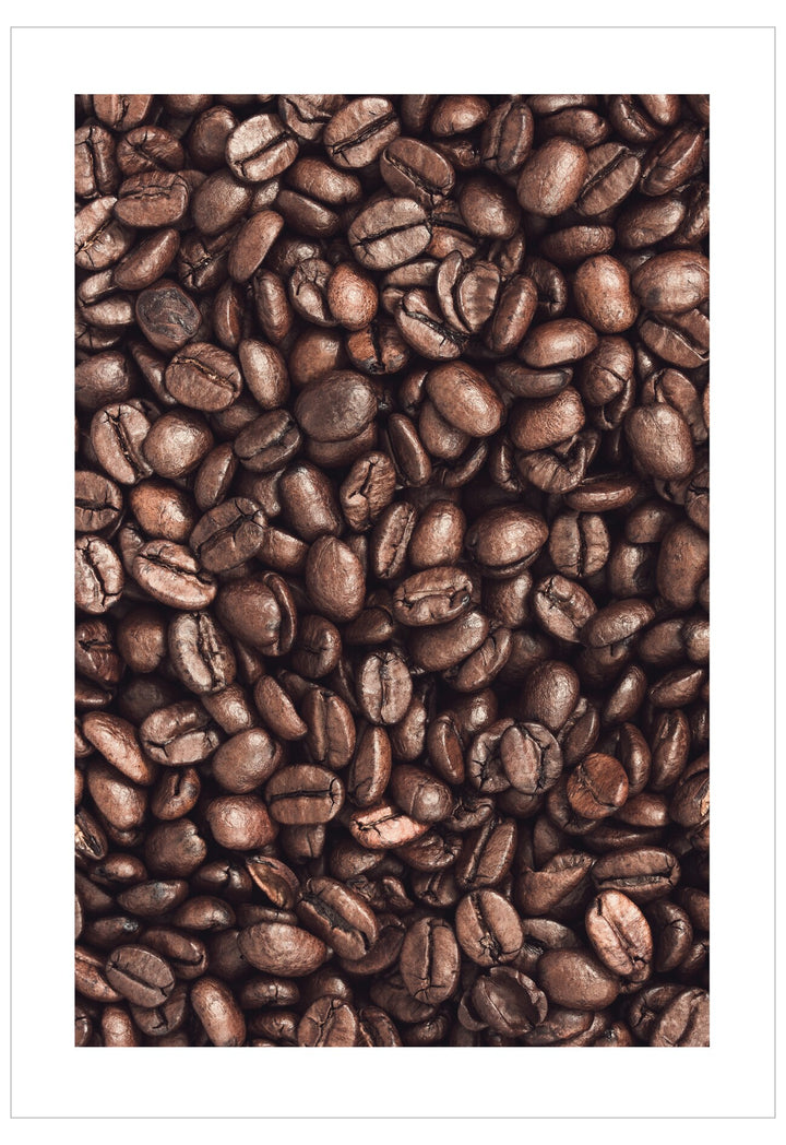 Close-up of coffee beans on a white background