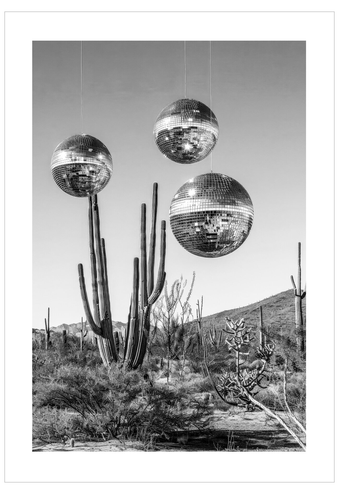Desert Disco No.1 Poster