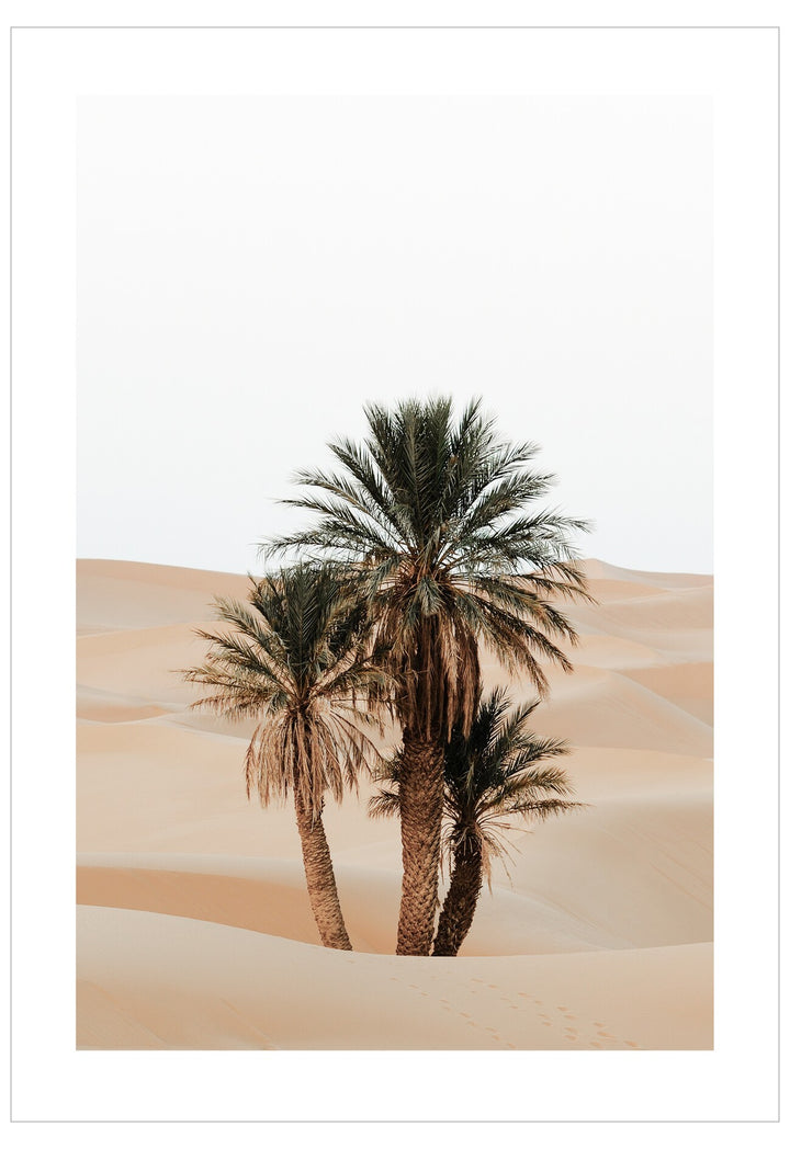 Three palm trees in a desert landscape with sand dunes.
