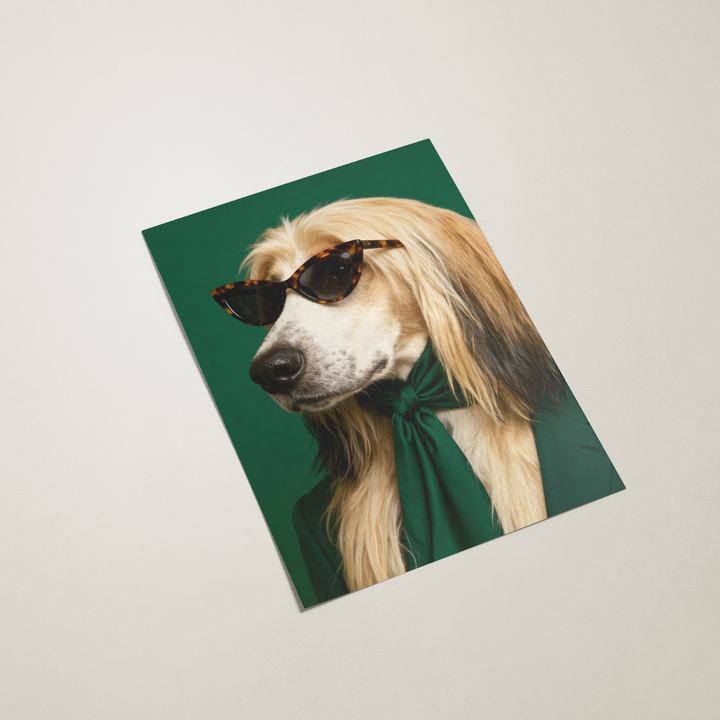 Afghan Hound Wall Art
