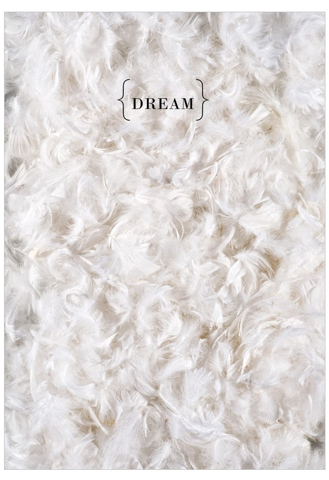 Close-up of white feathers with the word 'DREAM' in the center.
