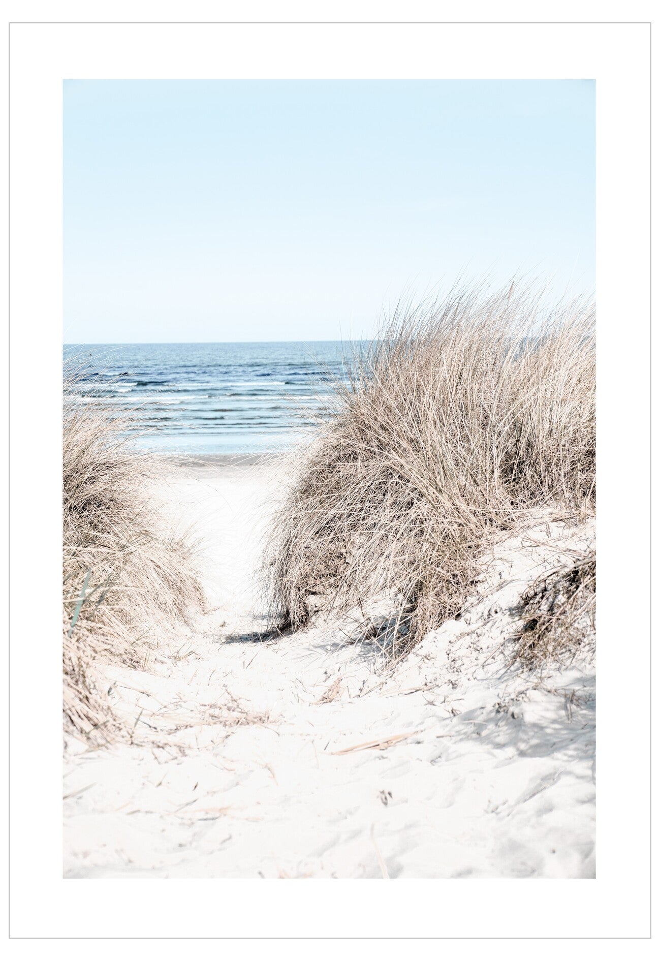 Path through sand dunes leading to the ocean under a clear blue sky