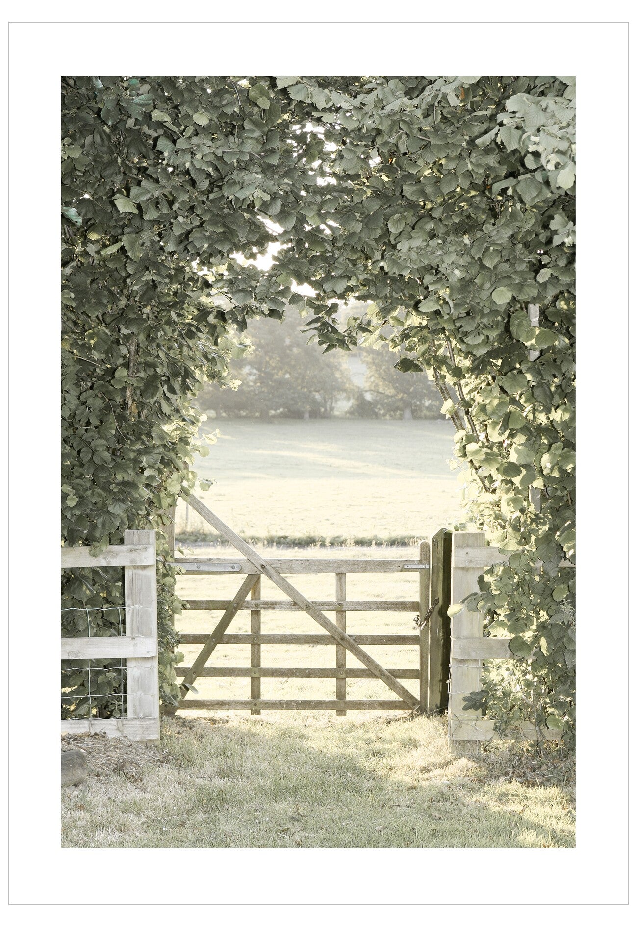 Wooden gate opening to a misty landscape with trees on either side