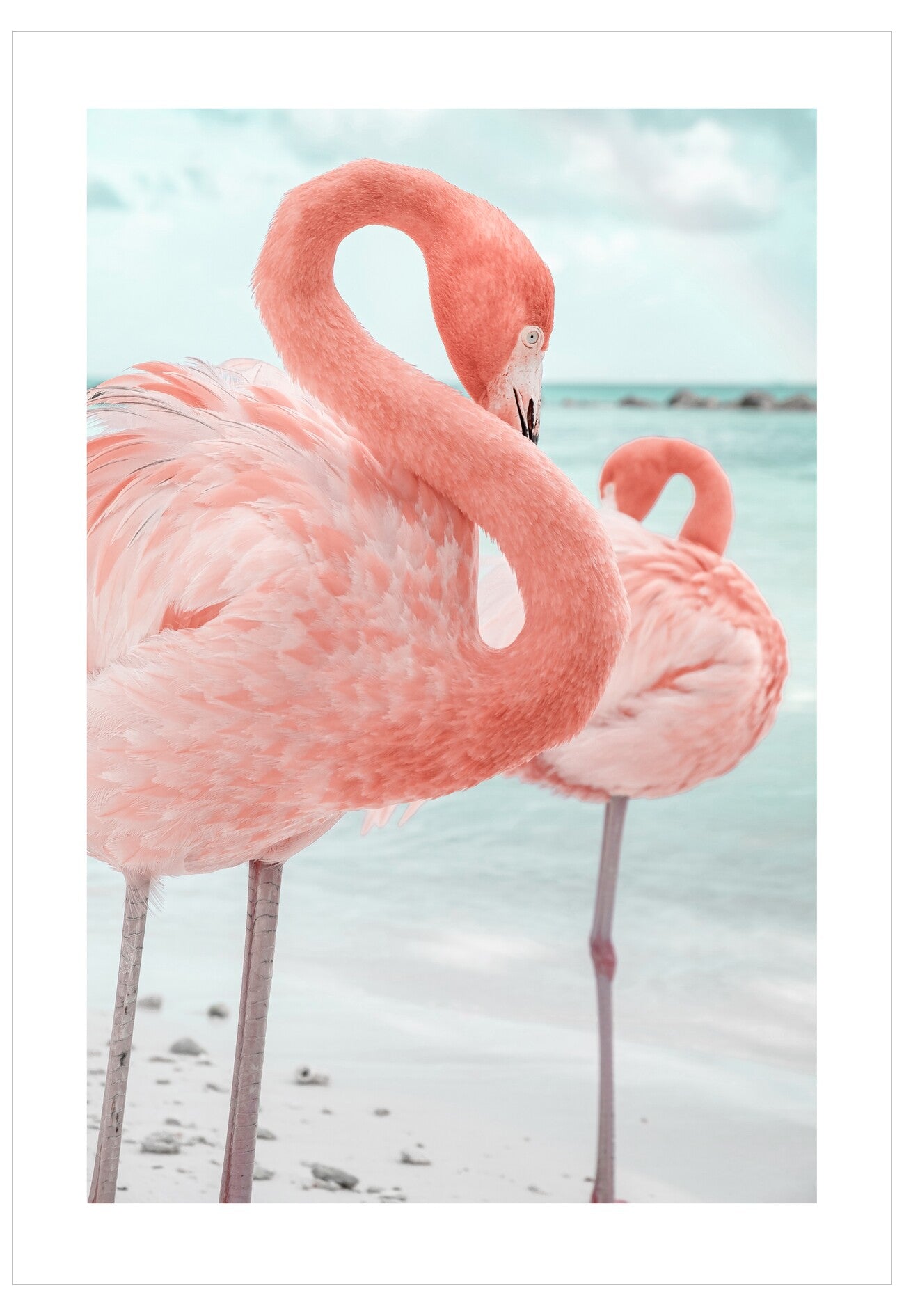 Two pink flamingos standing on a sandy beach with water in the background