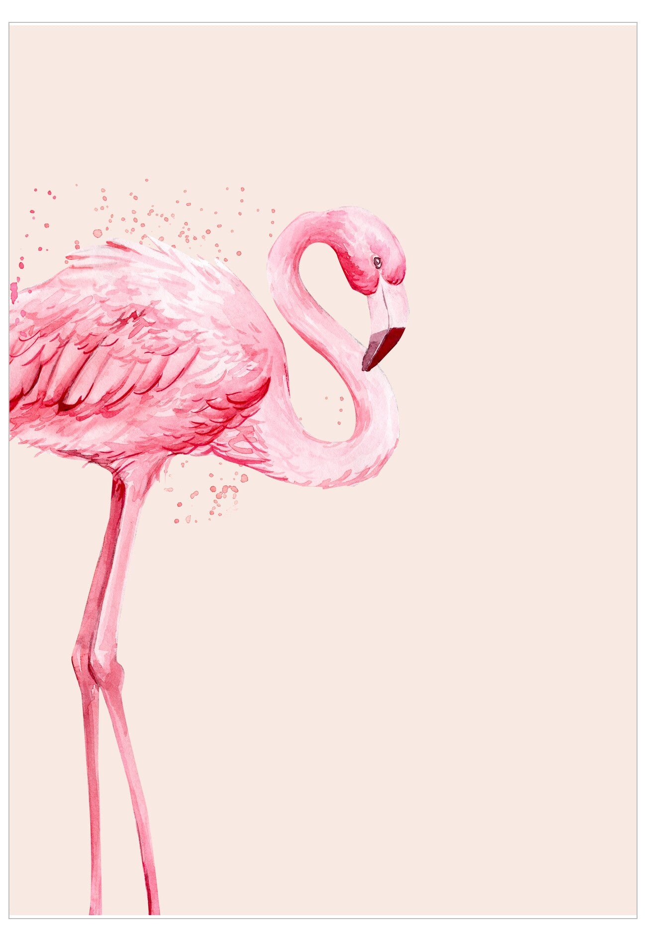 Pink flamingo on a light pink background