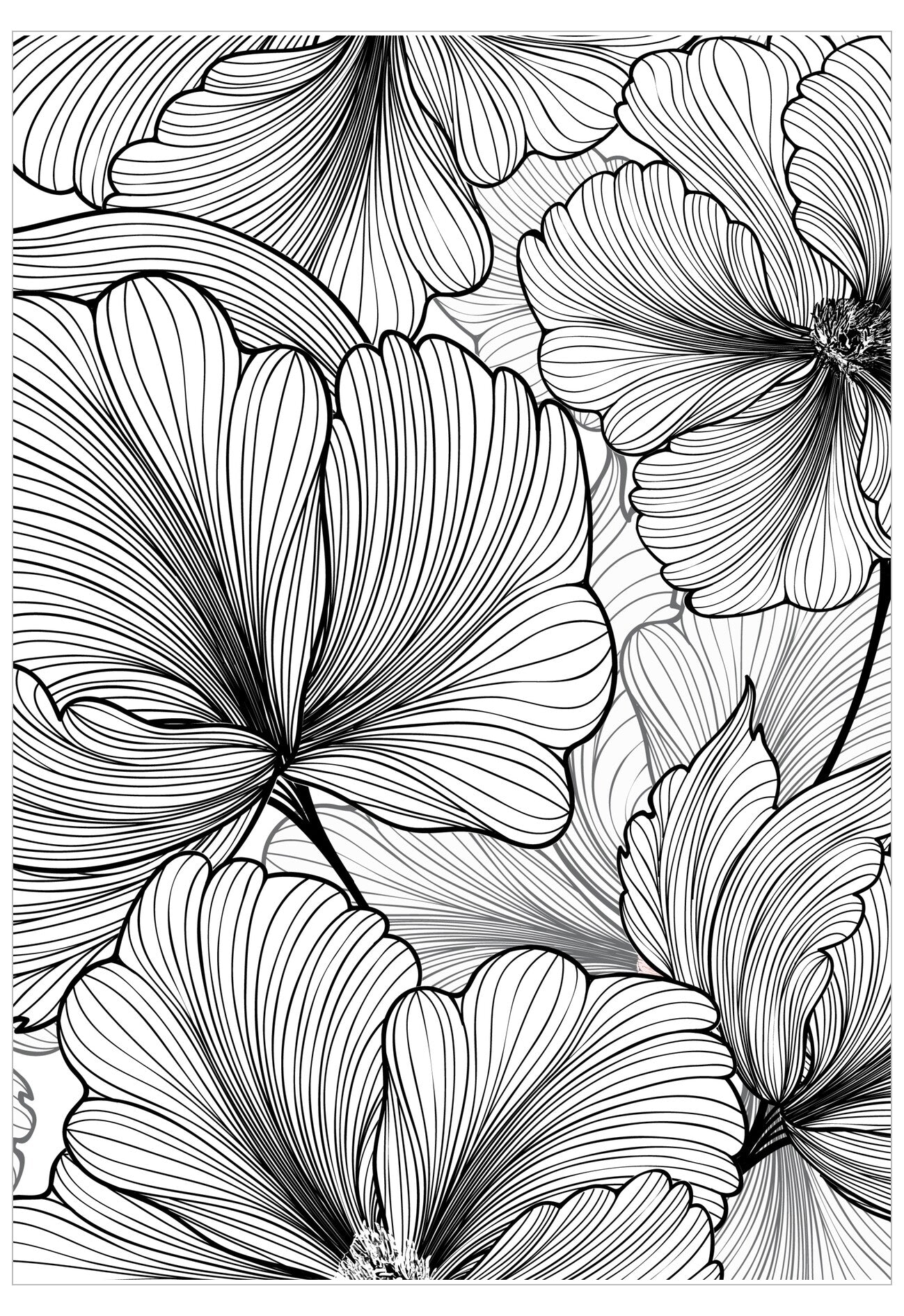 Black and white floral pattern