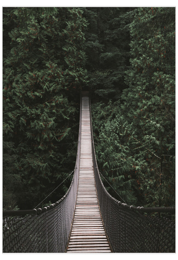 Forest Bridge Poster