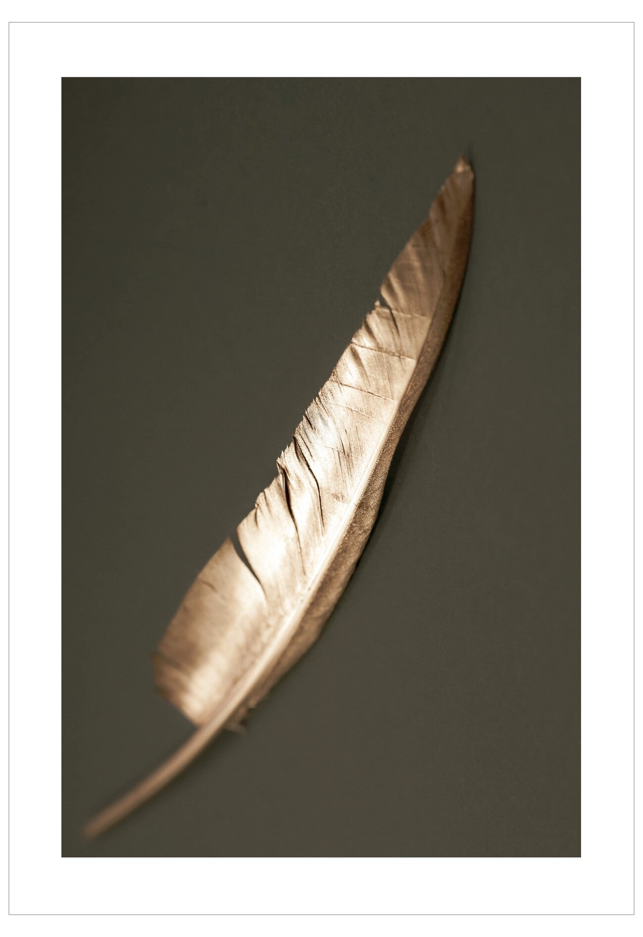 Gold Feather Poster