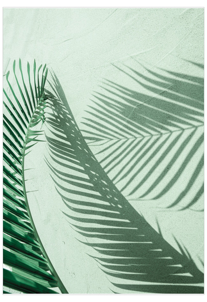 Close-up of green palm leaves with shadows on a light green background