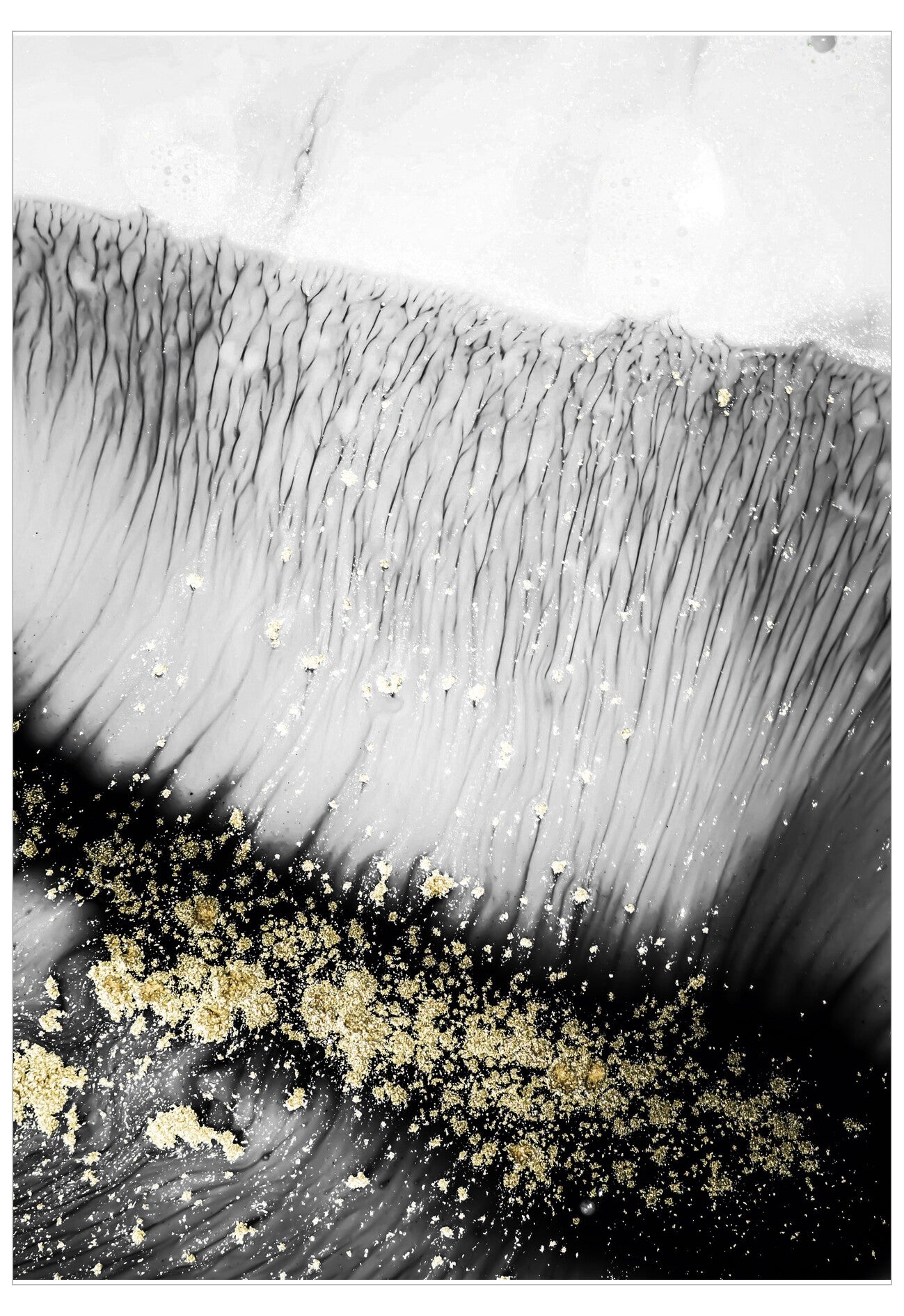 Close-up of a black and white feather with gold glitter on a white background